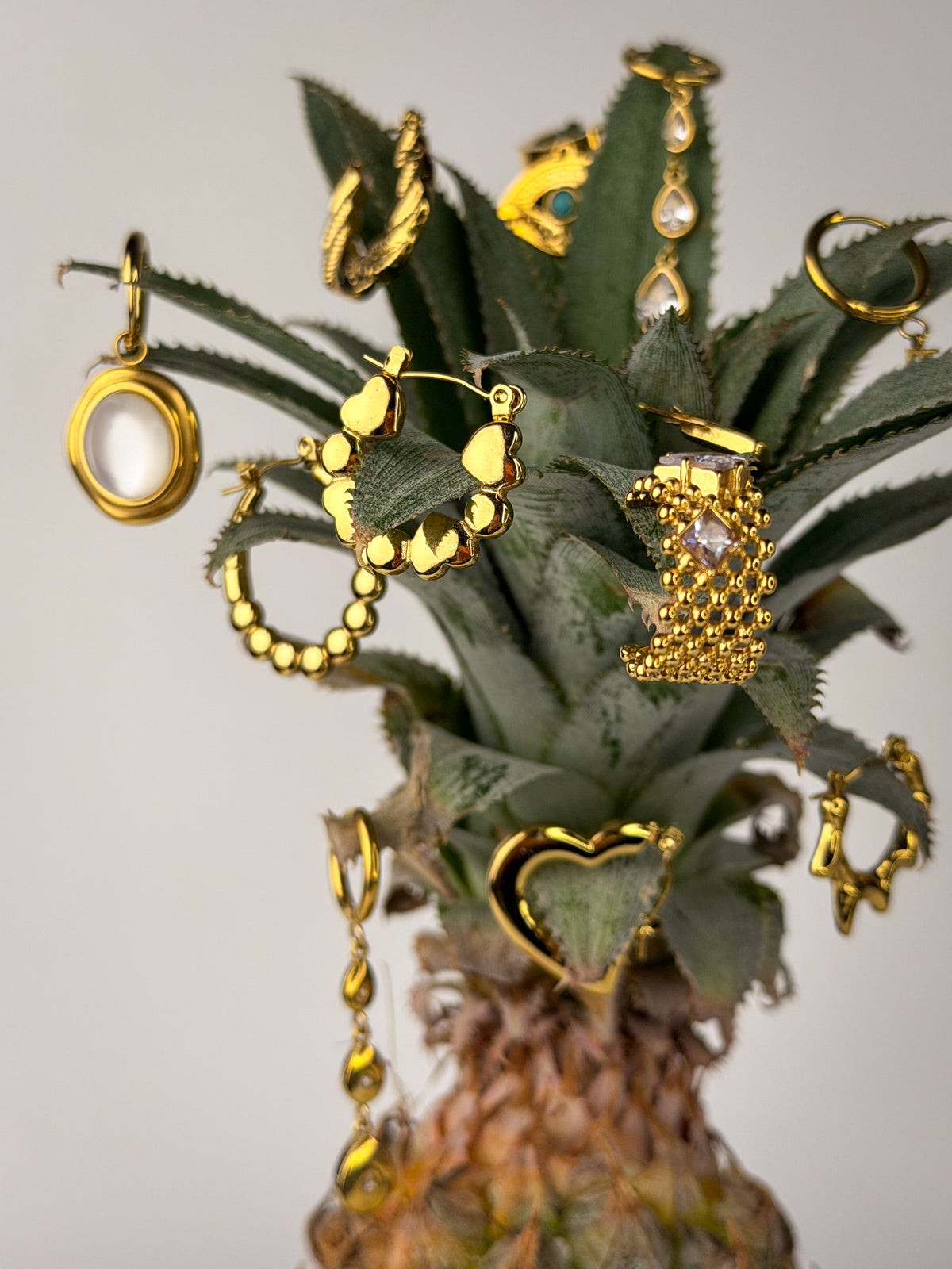 Earrings