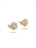 Bloom Studs - 18K Gold Plated